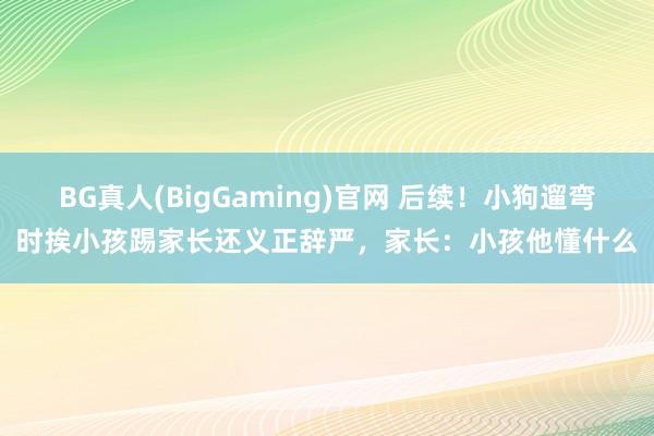BG真人(BigGaming)官网 后续！小狗遛弯时挨小孩踢家长还义正辞严，家长：小孩他懂什么