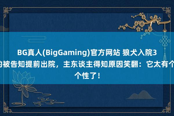 BG真人(BigGaming)官方网站 狼犬入院3天蓦的被告知提前出院，主东谈主得知原因笑翻：它太有个性了！