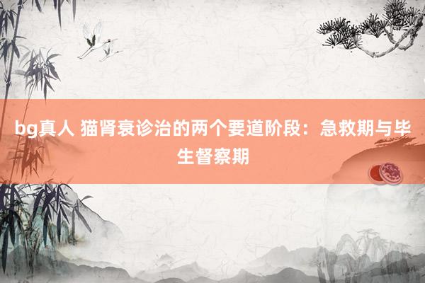 bg真人 猫肾衰诊治的两个要道阶段：急救期与毕生督察期