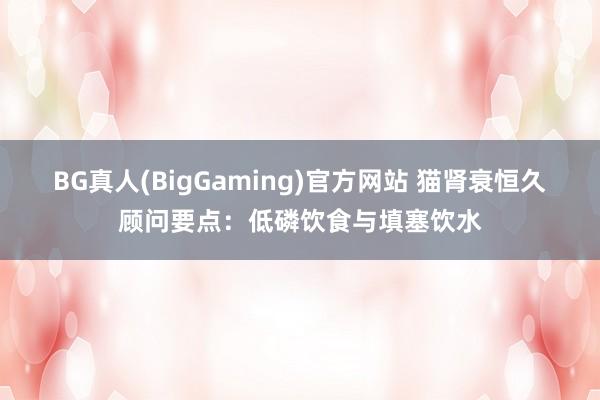 BG真人(BigGaming)官方网站 猫肾衰恒久顾问要点：低磷饮食与填塞饮水