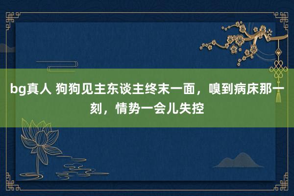 bg真人 狗狗见主东谈主终末一面，嗅到病床那一刻，情势一会儿失控