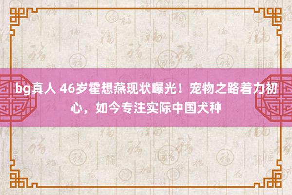 bg真人 46岁霍想燕现状曝光！宠物之路着力初心，如今专注实际中国犬种