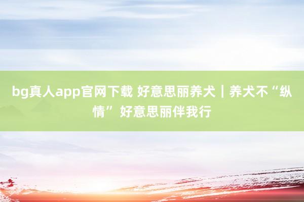 bg真人app官网下载 好意思丽养犬｜养犬不“纵情” 好意思丽伴我行