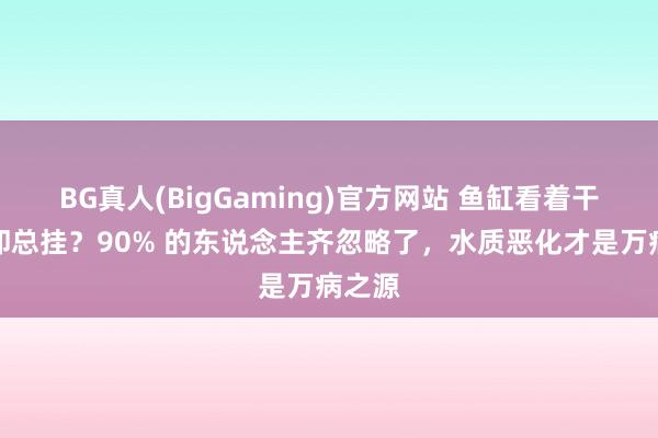 BG真人(BigGaming)官方网站 鱼缸看着干净鱼却总挂？90% 的东说念主齐忽略了，水质恶化才是万病之源
