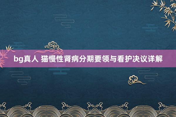 bg真人 猫慢性肾病分期要领与看护决议详解