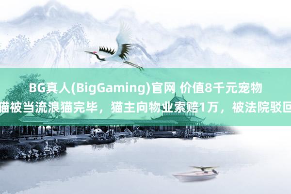 BG真人(BigGaming)官网 价值8千元宠物猫被当流浪猫完毕，猫主向物业索赔1万，被法院驳回