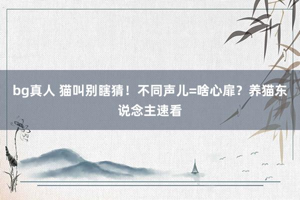 bg真人 猫叫别瞎猜！不同声儿=啥心扉？养猫东说念主速看