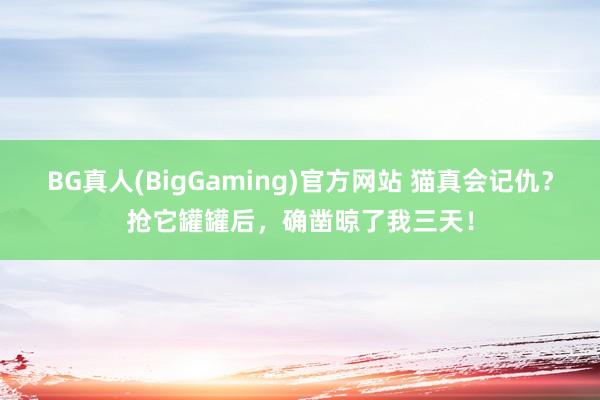 BG真人(BigGaming)官方网站 猫真会记仇？抢它罐罐后，确凿晾了我三天！