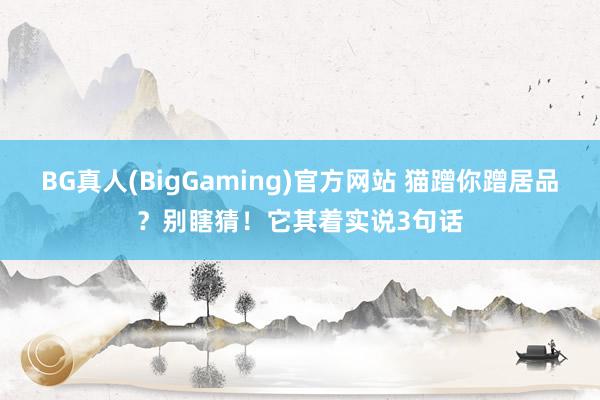 BG真人(BigGaming)官方网站 猫蹭你蹭居品？别瞎猜！它其着实说3句话