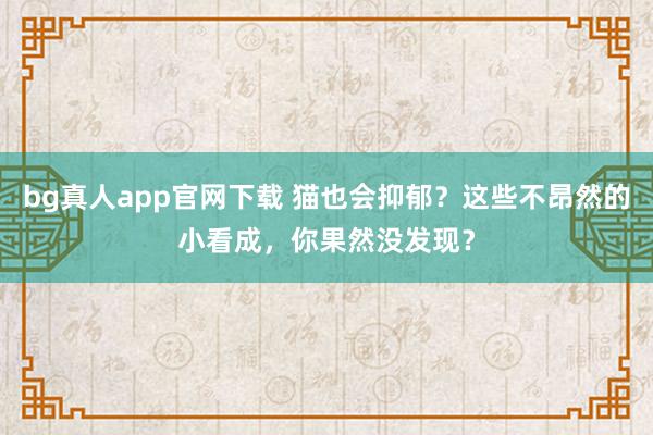 bg真人app官网下载 猫也会抑郁？这些不昂然的小看成，你果然没发现？