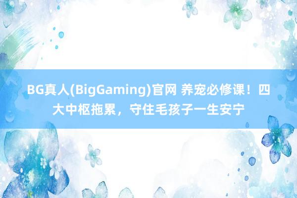 BG真人(BigGaming)官网 养宠必修课！四大中枢拖累，守住毛孩子一生安宁