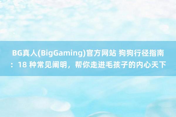 BG真人(BigGaming)官方网站 狗狗行径指南：18 种常见阐明，帮你走进毛孩子的内心天下
