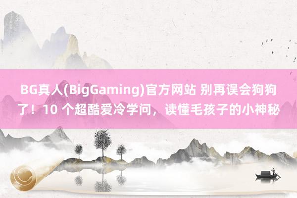 BG真人(BigGaming)官方网站 别再误会狗狗了！10 个超酷爱冷学问，读懂毛孩子的小神秘