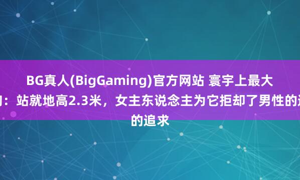BG真人(BigGaming)官方网站 寰宇上最大的狗：站就地高2.3米，女主东说念主为它拒却了男性的追求