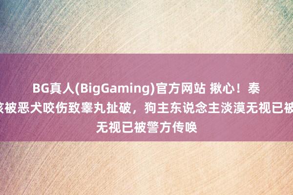 BG真人(BigGaming)官方网站 揪心！泰国9岁男孩被恶犬咬伤致睾丸扯破，狗主东说念主淡漠无视已被警方传唤