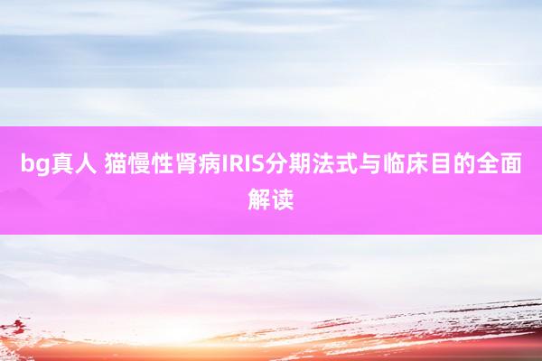 bg真人 猫慢性肾病IRIS分期法式与临床目的全面解读