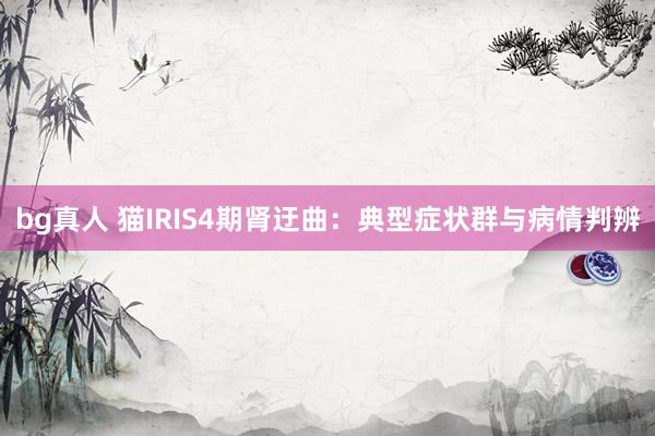 bg真人 猫IRIS4期肾迂曲：典型症状群与病情判辨