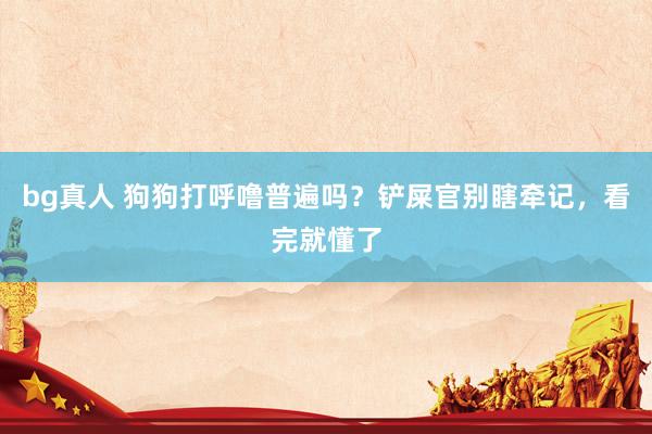 bg真人 狗狗打呼噜普遍吗？铲屎官别瞎牵记，看完就懂了