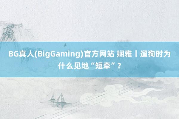 BG真人(BigGaming)官方网站 娴雅丨遛狗时为什么见地“短牵”？