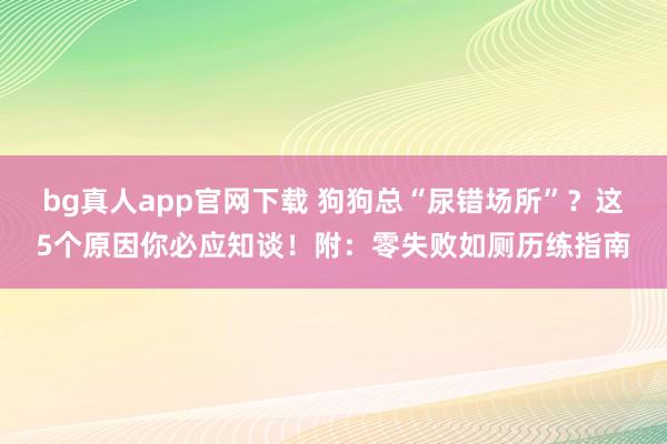 bg真人app官网下载 狗狗总“尿错场所”？这5个原因你必应知谈！附：零失败如厕历练指南