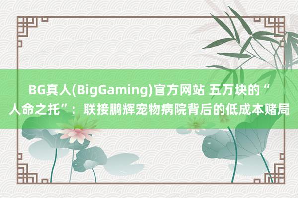 BG真人(BigGaming)官方网站 五万块的“人命之托”：联接鹏辉宠物病院背后的低成本赌局