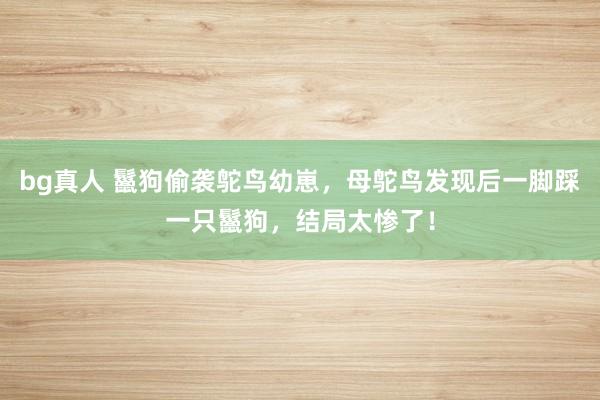 bg真人 鬣狗偷袭鸵鸟幼崽，母鸵鸟发现后一脚踩一只鬣狗，结局太惨了！