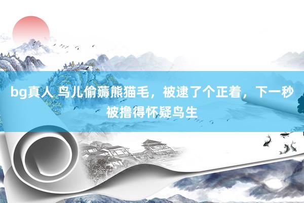 bg真人 鸟儿偷薅熊猫毛，被逮了个正着，下一秒被撸得怀疑鸟生