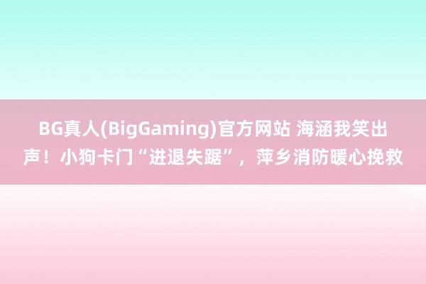 BG真人(BigGaming)官方网站 海涵我笑出声！小狗卡门“进退失踞”，萍乡消防暖心挽救