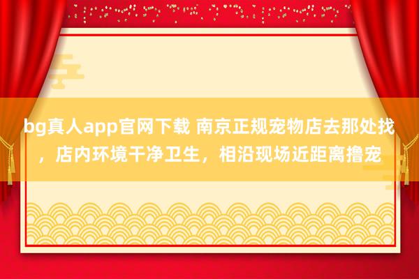 bg真人app官网下载 南京正规宠物店去那处找，店内环境干净卫生，相沿现场近距离撸宠