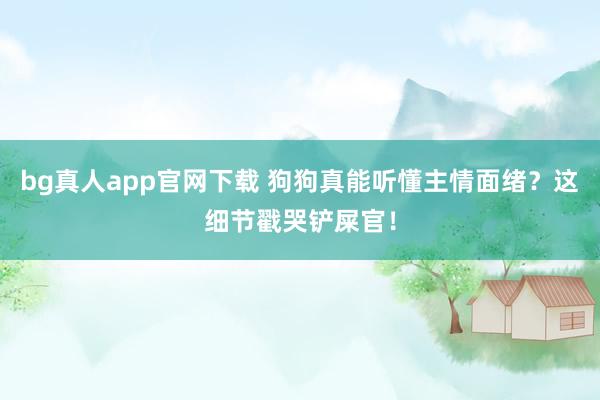 bg真人app官网下载 狗狗真能听懂主情面绪？这细节戳哭铲屎官！
