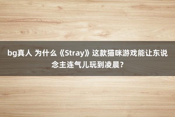 bg真人 为什么《Stray》这款猫咪游戏能让东说念主连气儿玩到凌晨？
