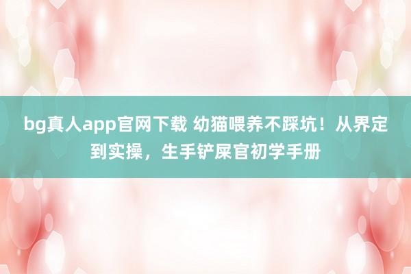 bg真人app官网下载 幼猫喂养不踩坑！从界定到实操，生手铲屎官初学手册
