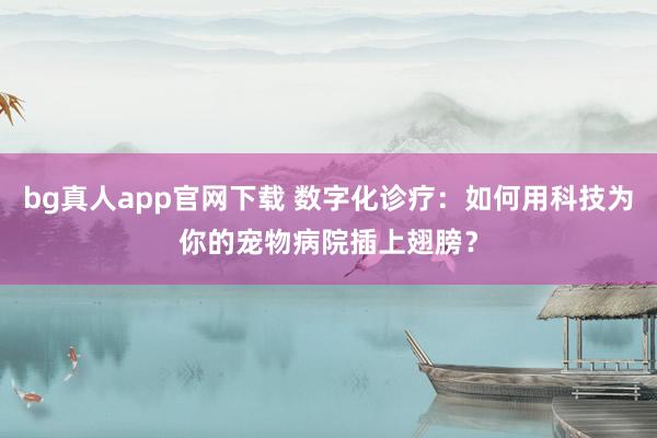 bg真人app官网下载 数字化诊疗：如何用科技为你的宠物病院插上翅膀？