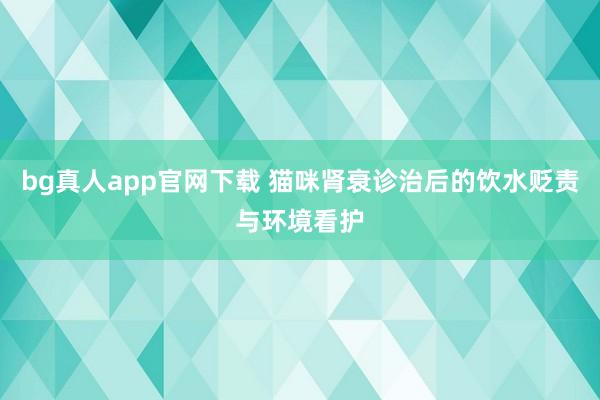 bg真人app官网下载 猫咪肾衰诊治后的饮水贬责与环境看护