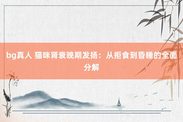 bg真人 猫咪肾衰晚期发扬：从拒食到昏睡的全面分解