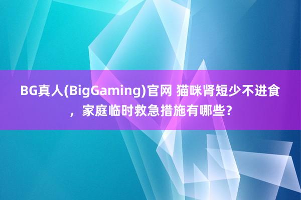 BG真人(BigGaming)官网 猫咪肾短少不进食，家庭临时救急措施有哪些？