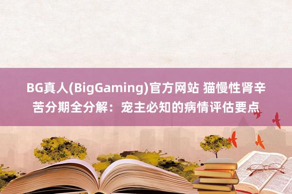 BG真人(BigGaming)官方网站 猫慢性肾辛苦分期全分解：宠主必知的病情评估要点