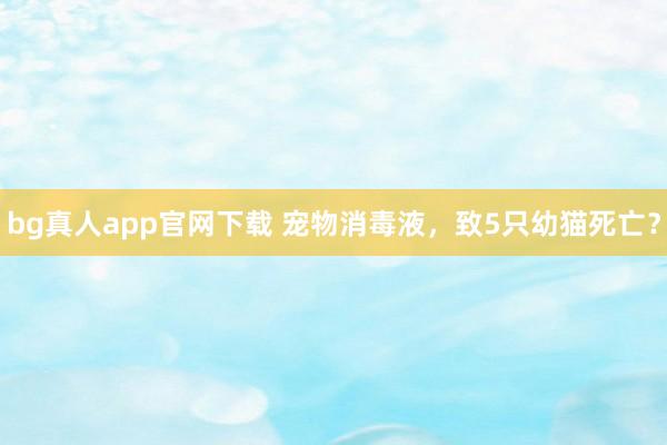 bg真人app官网下载 宠物消毒液，致5只幼猫死亡？