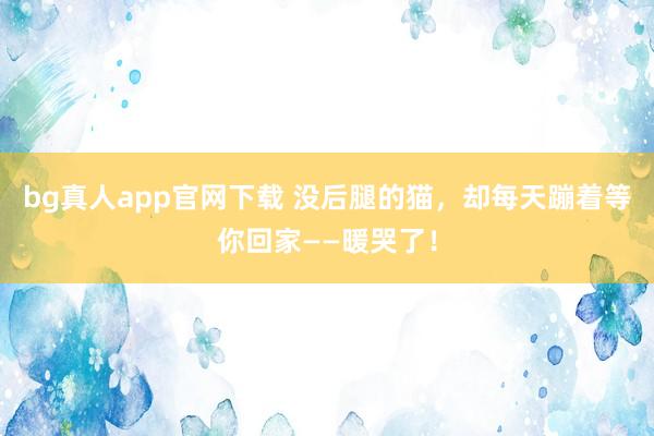 bg真人app官网下载 没后腿的猫，却每天蹦着等你回家——暖哭了！