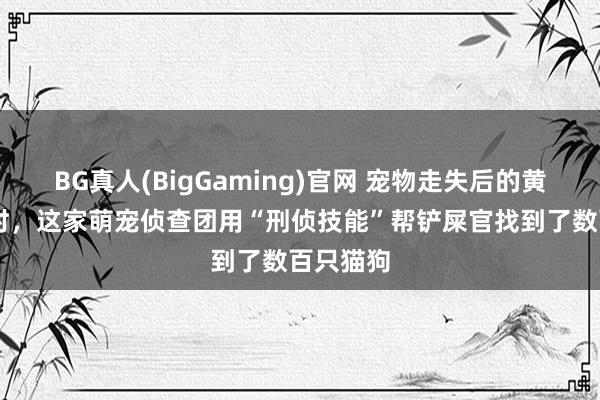 BG真人(BigGaming)官网 宠物走失后的黄金72小时，这家萌宠侦查团用“刑侦技能”帮铲屎官找到了数百只猫狗