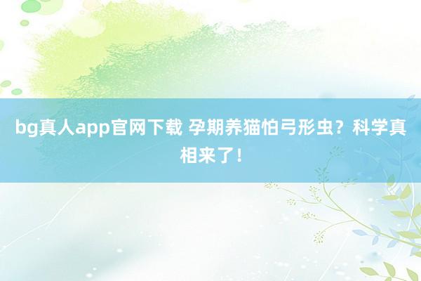 bg真人app官网下载 孕期养猫怕弓形虫？科学真相来了！
