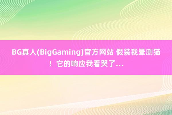 BG真人(BigGaming)官方网站 假装我晕测猫！它的响应我看哭了…