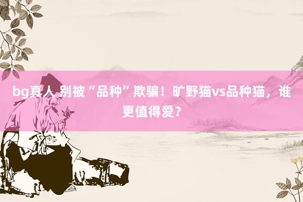 bg真人 别被“品种”欺骗！旷野猫vs品种猫，谁更值得爱？