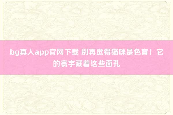 bg真人app官网下载 别再觉得猫咪是色盲！它的寰宇藏着这些面孔