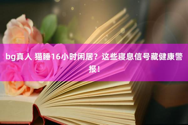 bg真人 猫睡16小时闲居？这些寝息信号藏健康警报！