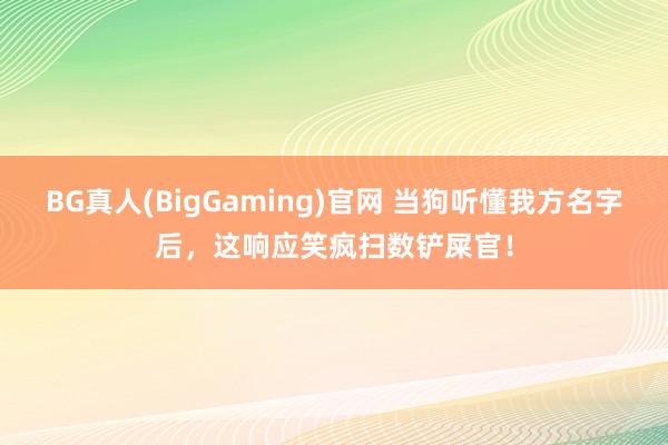 BG真人(BigGaming)官网 当狗听懂我方名字后，这响应笑疯扫数铲屎官！