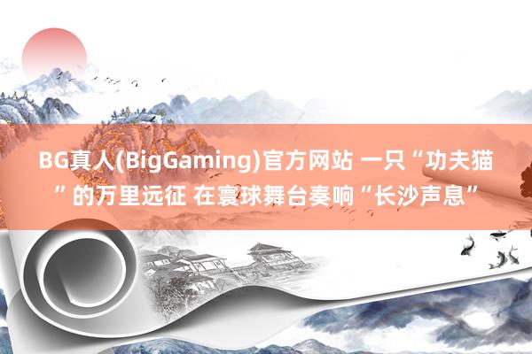 BG真人(BigGaming)官方网站 一只“功夫猫”的万里远征 在寰球舞台奏响“长沙声息”