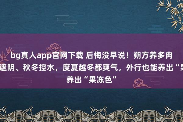 bg真人app官网下载 后悔没早说！朔方养多肉，春夏遮阴、秋冬控水，度夏越冬都爽气，外行也能养出“果冻色”