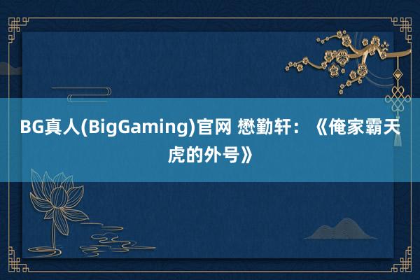 BG真人(BigGaming)官网 懋勤轩：《俺家霸天虎的外号》