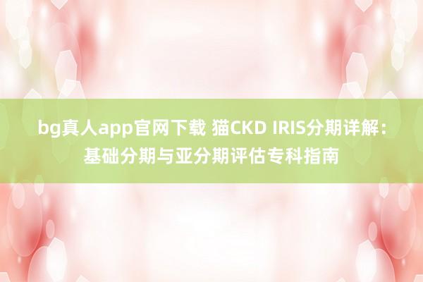bg真人app官网下载 猫CKD IRIS分期详解：基础分期与亚分期评估专科指南